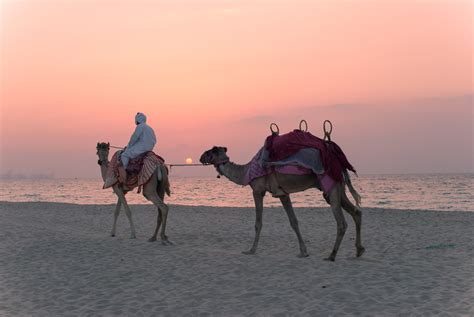 Cosa Vedere A Sharm El Sheikh Attrazioni E Attivit A Sharm Volagratis