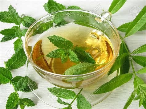 Peppermint And Ginger Are Wonderful Healing Herbs For Self Care