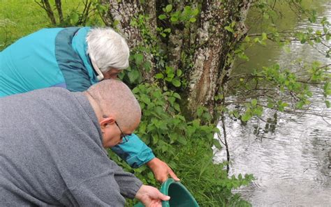 En Image Raynans De Belles Truites Dans Les Plans Deau