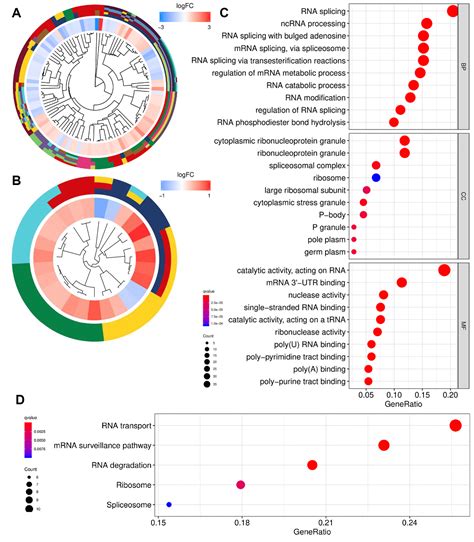 Identification Of RNA Binding Protein SNRPA1 For Prognosis In Prostate