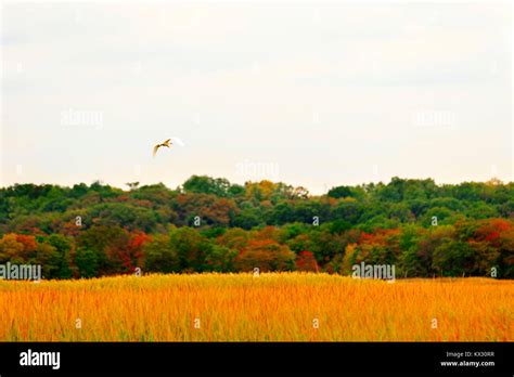 Colorful Fall Scenery Stock Photo Alamy