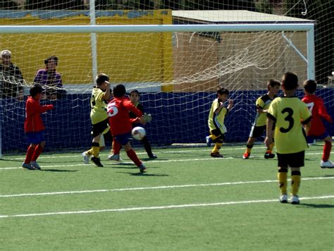 Crónica Pre benjamines F 8 Gr B Son Sardina 1 5 Collerense Pre