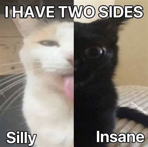 Two Pictures Of Cats With Captions That Say I Have Two Sides Silly Insane