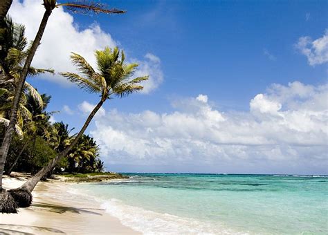 Diani Beach Kenya Lune Des Plus Belles Plages De Mombasa