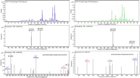 Fast And High Throughput LC MS Characterization And Peptide Mapping Of