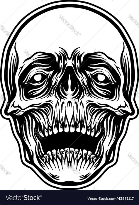 Detailed Skull Head Royalty Free Vector Image Vectorstock