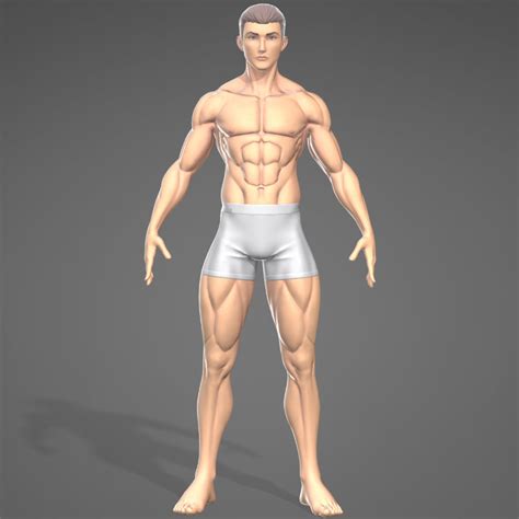 D Male Stylistic Base Body Muscle Model Turbosquid Hot Sex