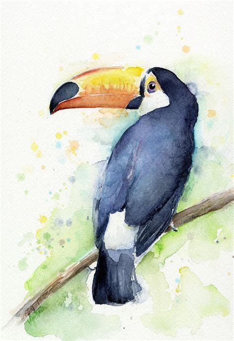 Toucan Watercolor Painting by Olga Shvartsur