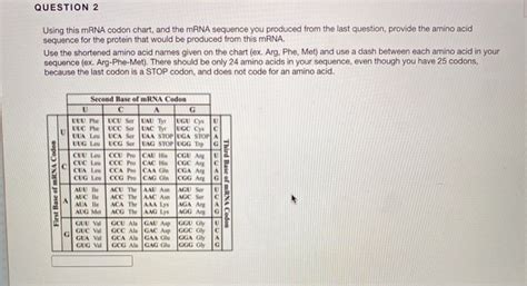 Solved Using this mRNA codon chart, and the mRNA sequence | Chegg.com