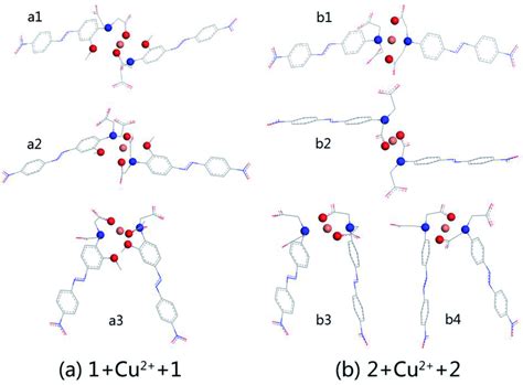 Optimized structures of 2 : 1 stoichiometry for AZOs and Cu²⁺... | Download Scientific Diagram