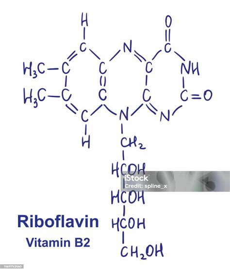 Riboflavin Chemical Structure Vector Illustration Hand Drawn Stock Illustration Download Image