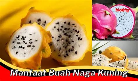 Khasiat Buah Lontar