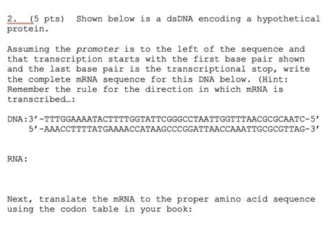 SOLVED 5 Pts Shown Below Is Protein DsDNA Encoding Hypothetical