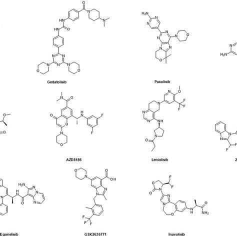 Schematic Overview Of The Ar And Pi3k Akt Mtor Signaling Pathways And