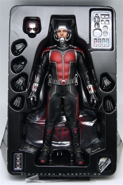 Toyhaven Hot Toys Mms308 1 6th Scale Ant Man 12 Inch Collectible Figure Review 1 Truly A