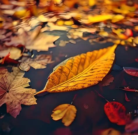 Premium AI Image A Close Up Of A Leaf In A Pool Of Water With The