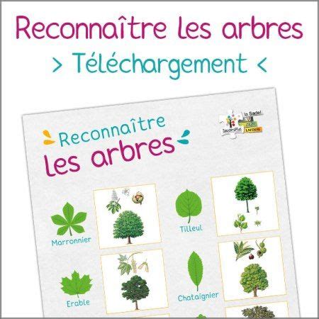 Affiche reconnaître les arbres Le blog SavoirsPlus Reconnaitre les