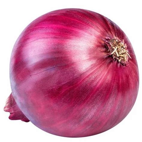 Maharashtra A Grade Red Onion Onion Size 40 Mm At Rs 29 Kg In Navi