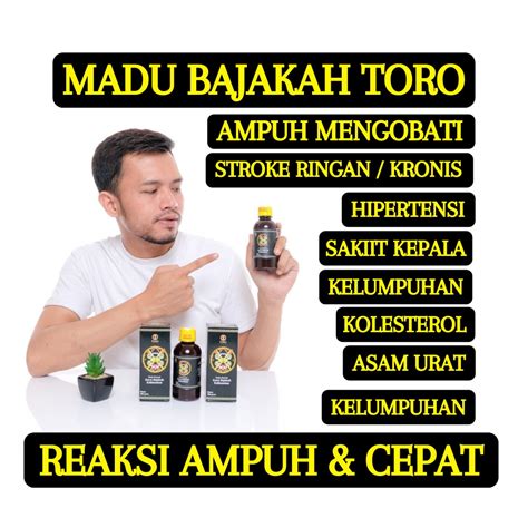 Jual Obat Stroke Struk Ringan Menahun Lumpuh Separo Sebelah Stroke