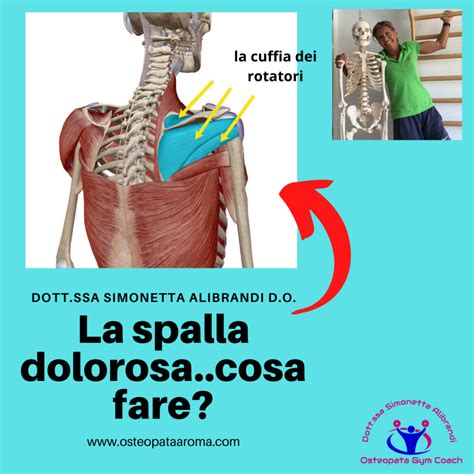 Spalla Dolorosa Tendinopatia Del Muscolo Sovraspinato Osteopata