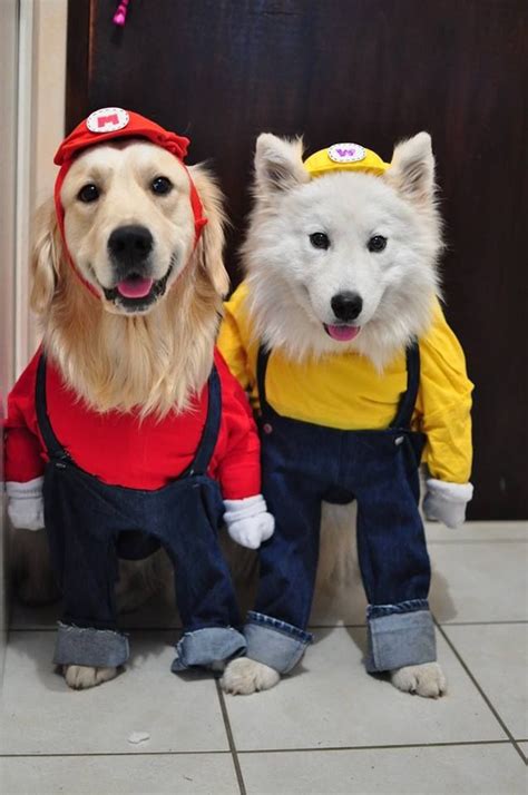 Cute Dog Costumes Pet Halloween Costumes Animal Costumes Dog