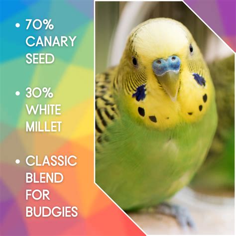 Skygold Budgie Kg Gladwells Pet Country Stores Online Shop