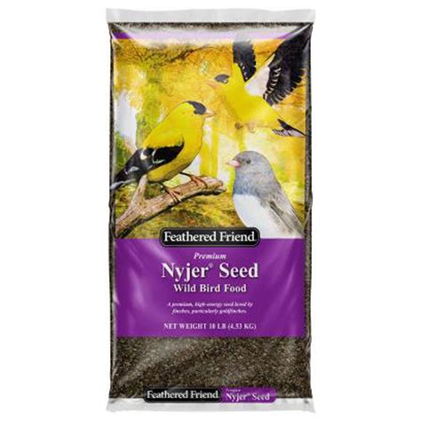 Feathered Friend 14402 Nyjer Seed Wild Bird Food 10 Lb Bag Quantity