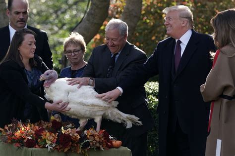 Trump Presidential Turkey Pardon How To Watch Thanksgiving White House