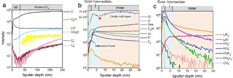 Tof Sims Depth Profiles Of Selected Secondary Ion Fragments On The