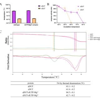 Results Of Thermofluor And Thermal Inactivation Assays Of Asfv Dutpase