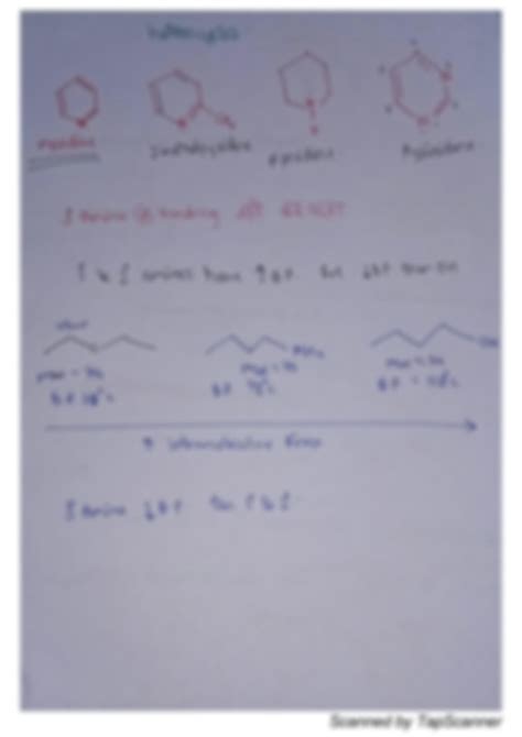 Solution Amines Explained Notes Studypool