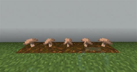 【マイクラje】茶色のキノコの入手方法と5つの使い道を解説（あかまつんのマインクラフト） あかまつんのマインクラフト