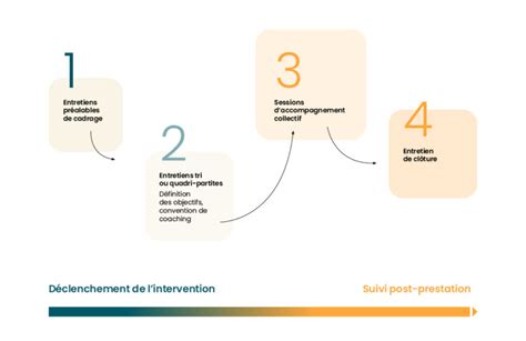 Coaching Collectif Syst Mique Et Strat Gique Interstices