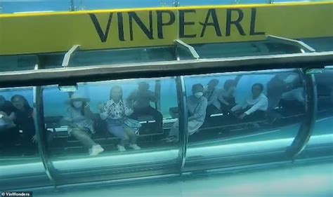 Incredible New Person Tourist Submarine With Huge Panoramic Windows