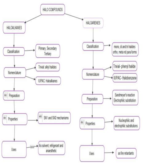 Haloalkanes And Haloarenes Class 12 Mind Map