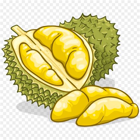 detail gambar durian png koleksi nomer