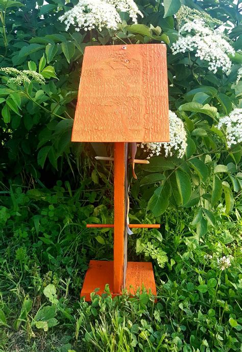 Oriole Bird Feeder Bird Feeder Bird Watching Hanging Oriole | Etsy