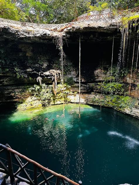 Ultimate Guide To Visiting Cenote Saamal In 2024 Tips Must Knows