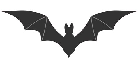 Black Bat Svg