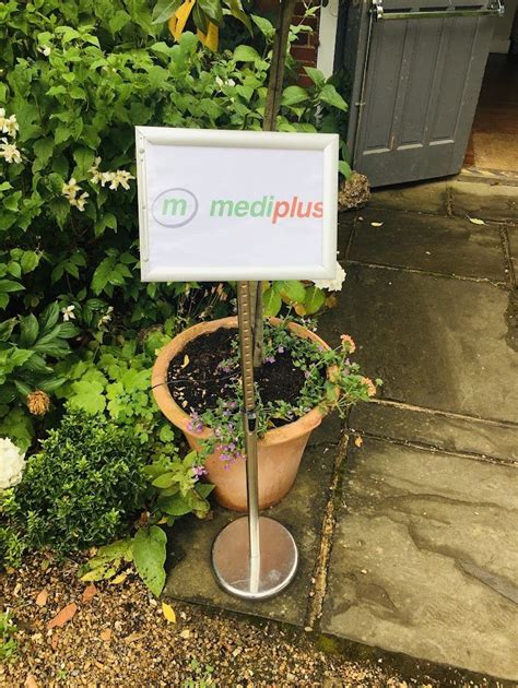 Green Teambuilding Event with Mediplus — Forest of Hearts