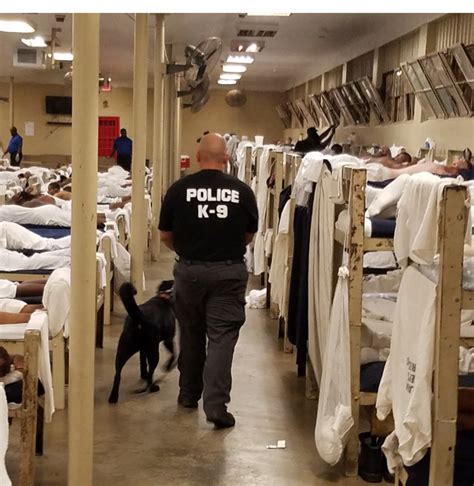 Contraband Search At Atmore Prison Yields Big Results Alabama News