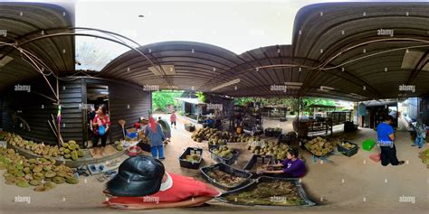 360° View Of Durian Season At Balik Pulau Pulau Pinang Alamy