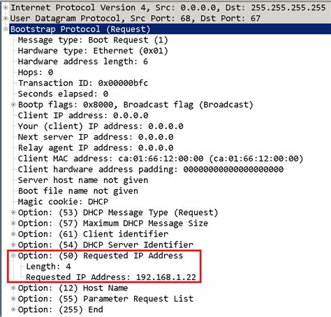 How Does Dhcp Work In The Network Dhcp Process And Its Options