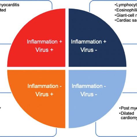 Categories of myocarditis based on endomyocardial biopsy results ...