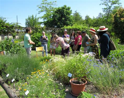 Conservatoire Des PlantesI Visite Guidee Sensorielle Parc Naturel