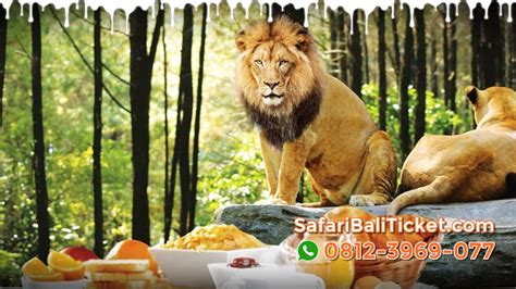 Harga Tiket Bali Safari Park Domestik Wni Kandangan