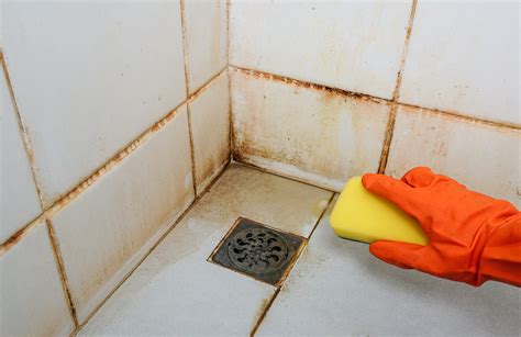 How To Remove Mold From Shower Step By Step Guide Artofit