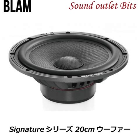 Blam Ws Signature Cm Bits