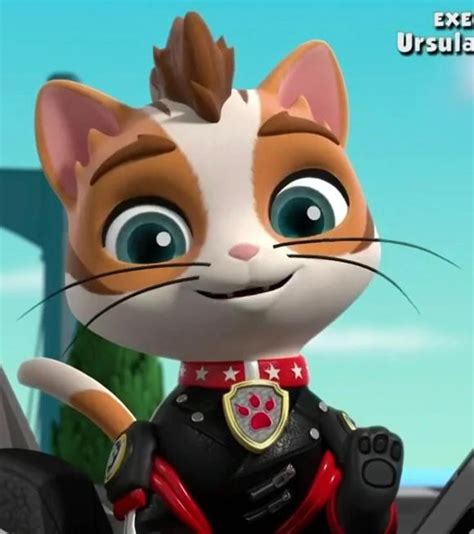 Paw Patrol Season 9 Episode 2 By Karllthorn On Deviantart