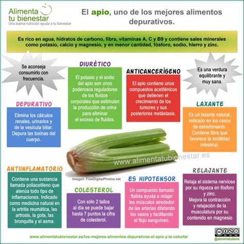 Beneficios Nutricionales Del Apio